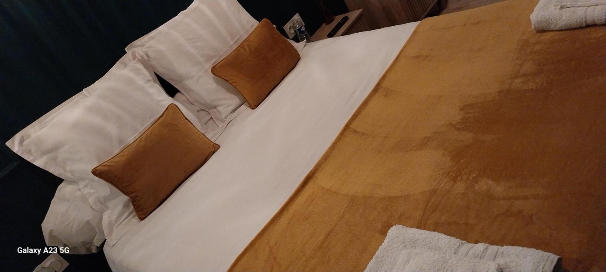 "Chez Lyly Et Juju" Piscine&Sauna Calme 3Chambres Анже Екстер'єр фото